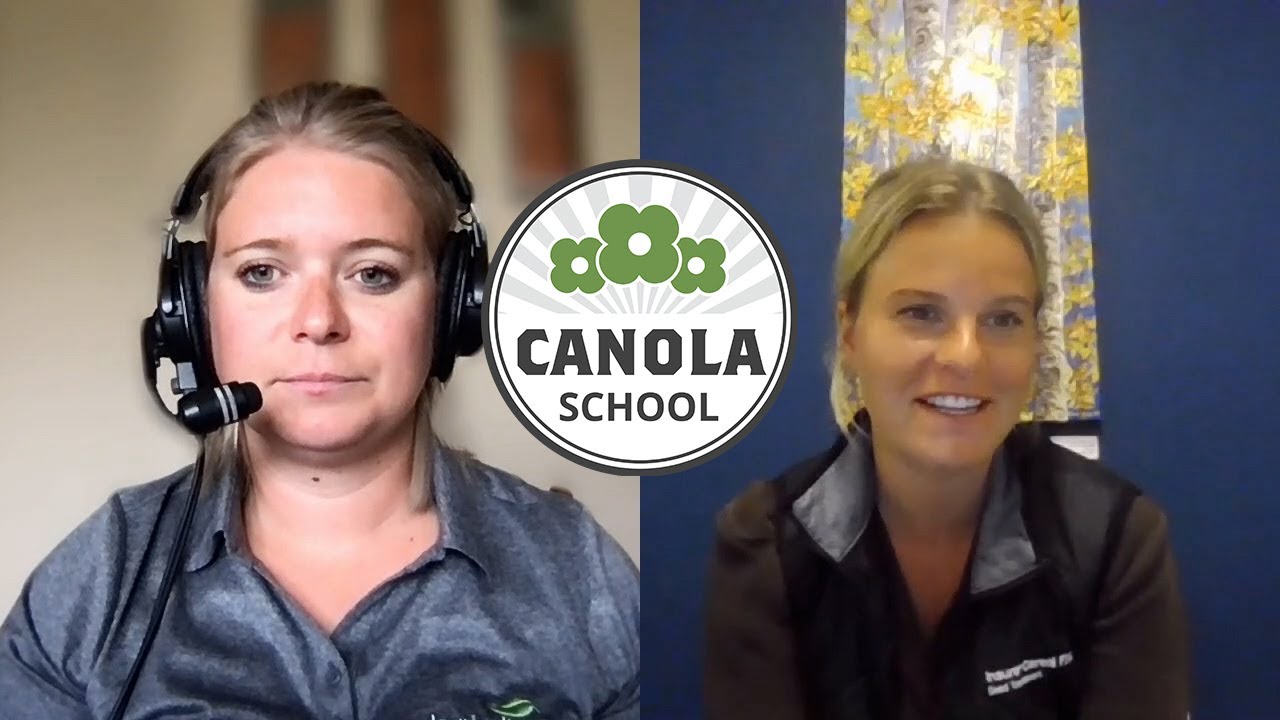 Canola School: Honing in on early insect pests