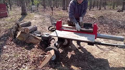 Almost 10yr review Harbor Freight Dual Direction 20 ton log splitter  PREDATOR 212cc