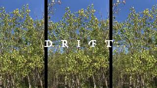 Willow Waters & The Earth Tones - D R I F T