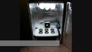 The Lowryder Grow Box, and Lowryder Deluxe,more at www.UniqueHydroponics.com