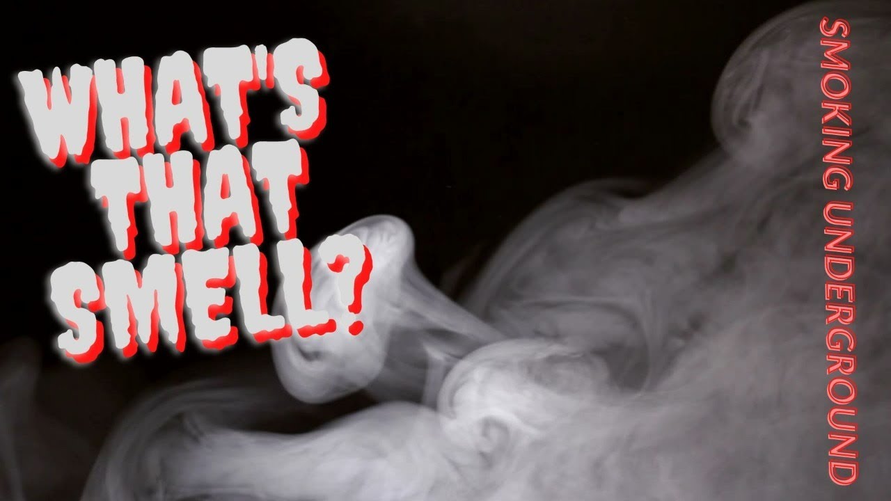 What's That Smell?