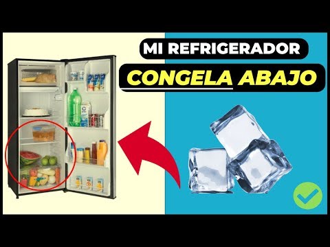 Vídeo: Per Què Es Congela Tant La Nevera