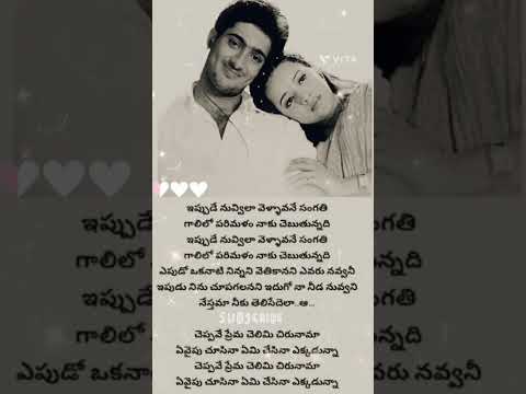 ఇప ప డ న వ వ ల వ ళ ళ న స గత గ ల ల పర మళ న క చ బ త న నద Love Trending