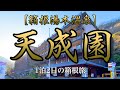 【箱根湯本温泉】天成園 広大な庭園の宿で温泉とグルメを満喫する1泊2日の箱根旅♪