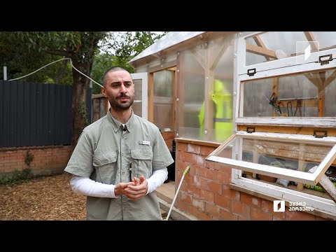 დათას ეზო - სივრცე რუსთავში, სადაც სოციალური და ეკოლოგიური პრობლემების მოგვარებაზე ზრუნავენ