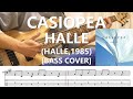 Casiopea - Halle【Bass Cover】with Tabs