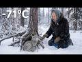 A Wolf Cub Was Left Alone in the Arctic… Then an Old Woman Saved His Life!