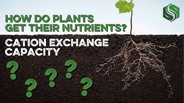 How Do Plants Get Their Nutrients? - Cation Exchange Capacity (CEC) Explained!