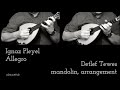 Ignaz Pleyel Allegro op 48 Detlef Tewes mandolin arrangement duo violin