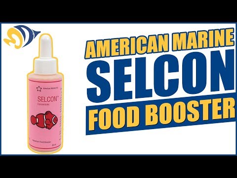 American Marine Selcon Food Booster: What YOU Need to Know