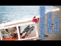 西雅图周边钓鳟鱼（Trout Fishing）和挖蛤蜊（Shellfish  Digging）｜钓鱼赶海，一网打尽