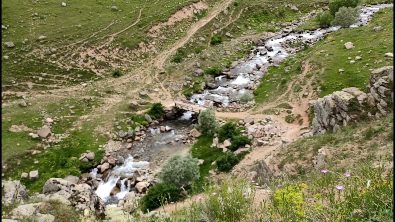 Yaylalı/Kürtün/Gümüşhane/Türkiye