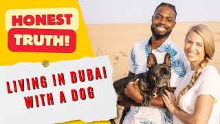 What's it Like Living in Dubai with a Dog? The Pros & Challenges | The Honest Truth