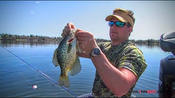 Crappie Location vs. Weather and Water Temperature