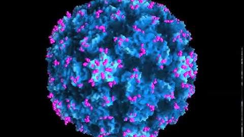 GRASP rendering of rhinovirus B14 displaying positions for Neutralizing Antibodies NIMS