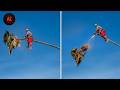 Idiots With Chainsaws: Tree Cutting Fails | Extreme Dangerous Logging Truck Fails #1