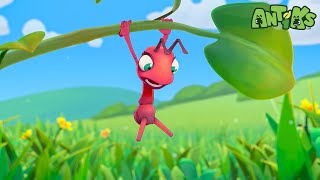 Where Did My Legs Go? | Antiks | हिंदी कार्टून | Oddbods Hindi by Antiks Official - Comedy Cartoons in Hindi 21,496 views 3 months ago 2 minutes, 8 seconds