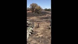 So You Want To Be Field Artillery?