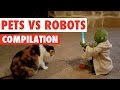 Pets Vs Robots Video Compilation 2020