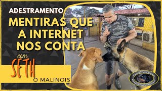 SETH  Malinois  Quebrando Mentiras da Internet