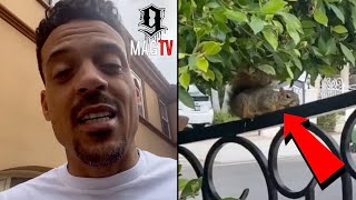 Matt Barnes House Gets Broken Into By Alvin The Squirrel! ?