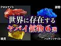 【ゆっくり解説】世界に存在する。ヤバイ鉱物６選