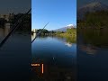 ブラックバスがオ○ッコをする瞬間。