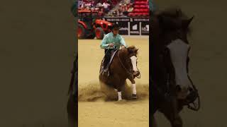 Start your engines! Ashley Kelkenberg and Sparklin Nite turned it loose to win. #shorts