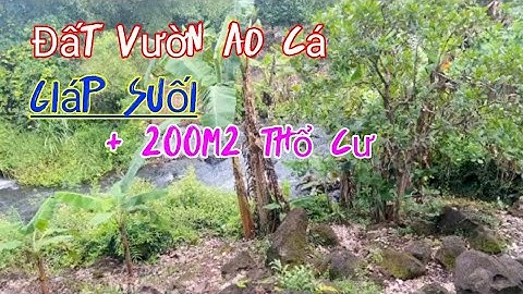 Đất vườn ao cá giáp suối 6000m2 có 200m2 thổ cư giá 2ty1 quá rẻ ở định quán Đồng nai.