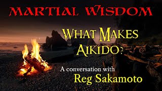 Ep. 159: What Makes Aikido? with Reg Sakamoto screenshot 1