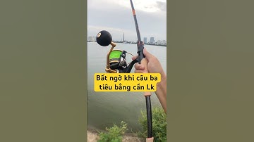Câu ba tiêu cần cá mập LK Hoà bất ngờ thật đấy
