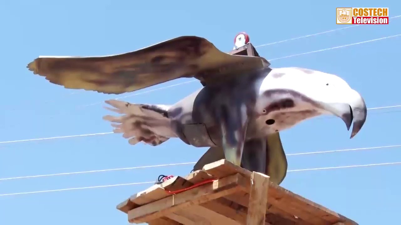 kifaa cha kufukuza ndege mashambani