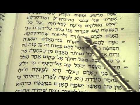 Kohelet - Ecclesiastes Reading the entire book Hebrew Sukkot Rabbi Weisblum מגילת קהלת קריאה סוכות