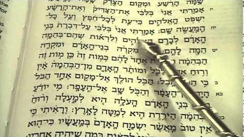 Kohelet - Ecclesiastes Reading the entire book Hebrew Sukkot Rabbi Weisblum