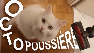 OCTOPOUSSIÈRE 1  PAROLE DE CHAT