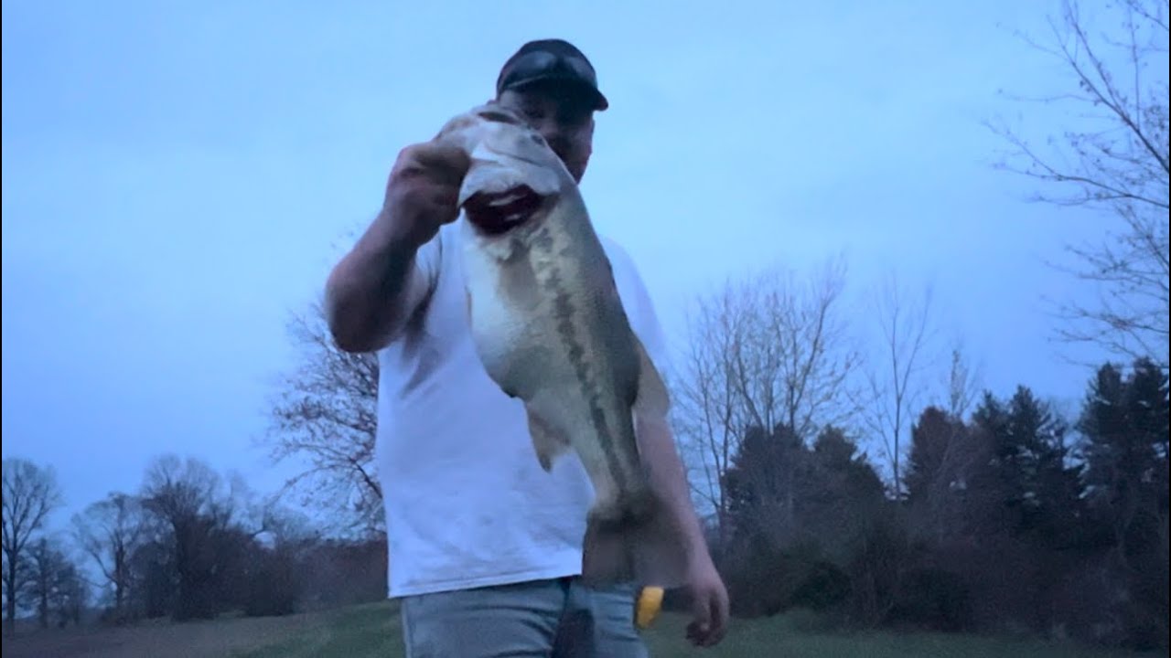 Huge farm pond bass