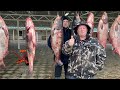 ЛУЧШЕ ЛЮБОГО ШАШЛЫКА‼️Коктал из рыбы🐟рыба на костре🐟как приготовить