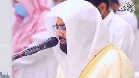 رقية شرعية على راحلة مقام العجم يحبرها الزعيم |حالات واتساب قران الزعيم ناصر القطامي