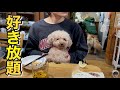 ばあばの家で迷惑をかえりみず好き放題暴れる愛犬達w