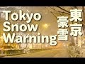 Tokyo Snow 大雪の東京 東京観光 冬の東京 Shibuya Crossing Omotesando Harajuku Tokyo Trip Travel 雪景色