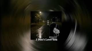 My Chemical Romance - I Don’t Love You (speed up & reverb, nightcore)