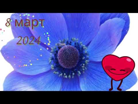 К 8 марта  Автор Евгения Зябрева