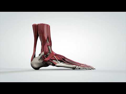 Vidéo: Problèmes de pronation - Comment réparer les pieds en pronation