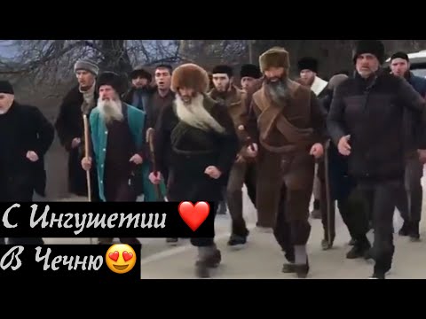 Зикр пешком с Ингушетии в Чечню😍🔥