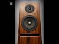 Kable audio Purist Audio Design, Neptune