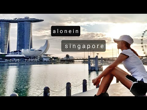 เที่ยวสิงคโปร์คนเดียว  alone in singapore
