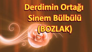 Derdimin Ortağı Sinem Bülbülü (BOZLAK) - Sesli Sedalı Resimi