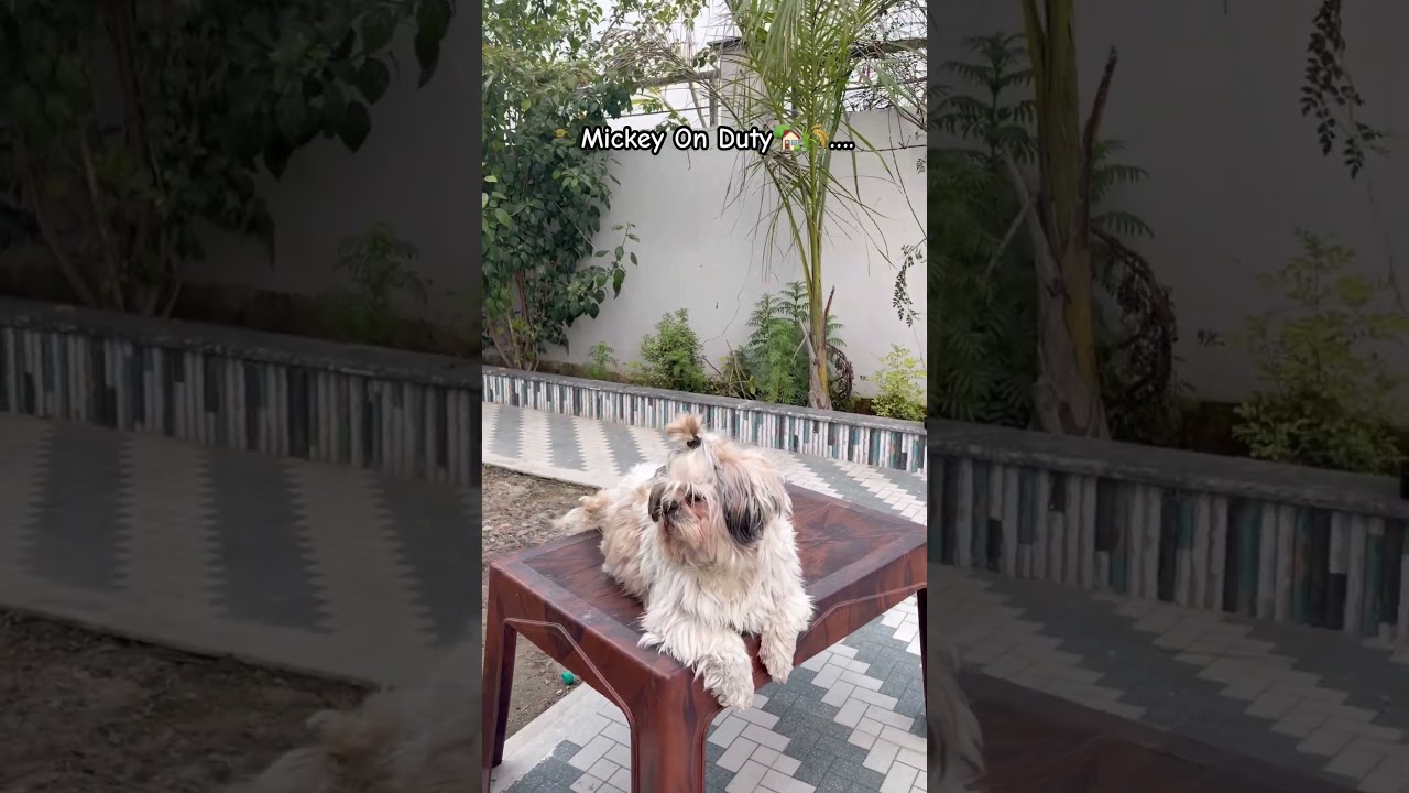 Kisan hai bhai 🌾… 