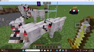 Minecraft 1-802