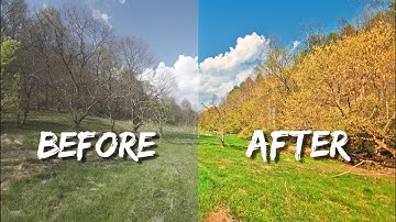 How to Color Grade DJI Avata 2 Footage In Davinci Resolve